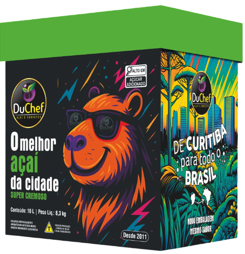 Pote de Sorvete DuChef 3